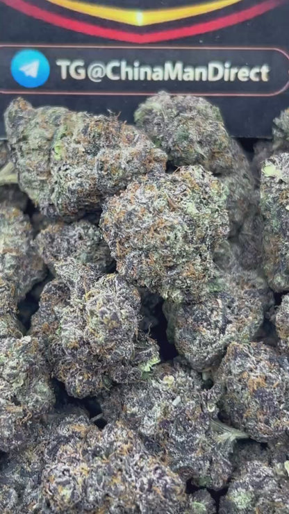 #N-CM1157 - Icy Berry Freeze (Hybrid)