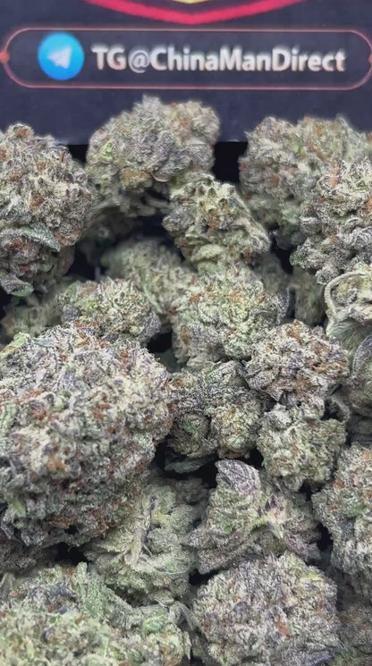 #N-EB241 - Gastro Runtz (Indica)