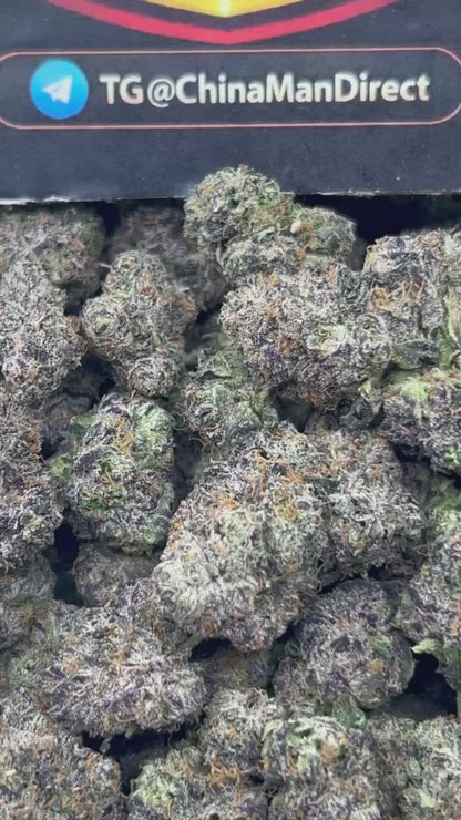 #N-CH342 - Lemon Cherry Icy (Hybrid)