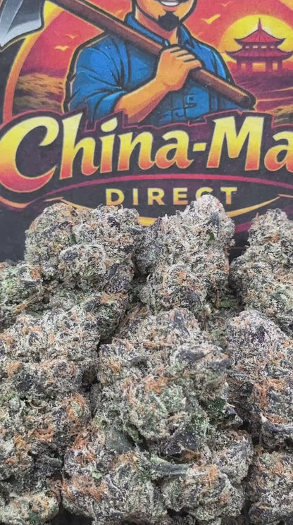 #KI200 - Blue Hurricane Gumbo (Hybrid)