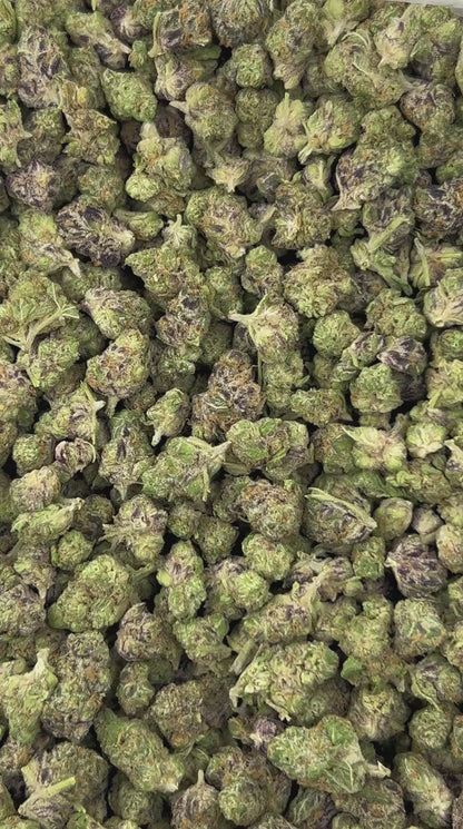 #B-ECS011 - Biscoff Cookie SM (Indica)