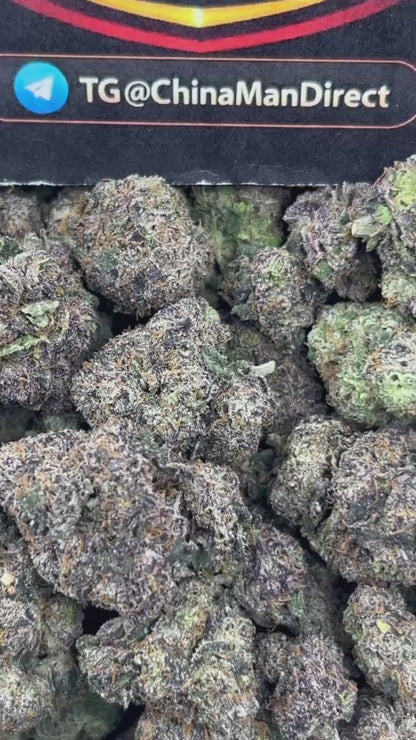 #N-CM1177 - Lemon Crush (Hybrid)