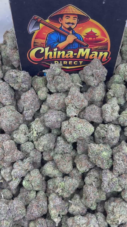 #N-EA821 - Space Jam (Hybrid)