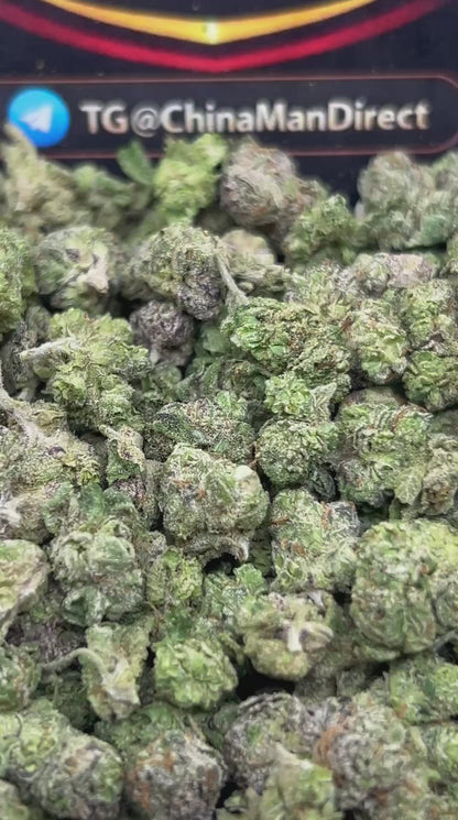 #N-ECS306 - Lemonhead SM (Hybrid)
