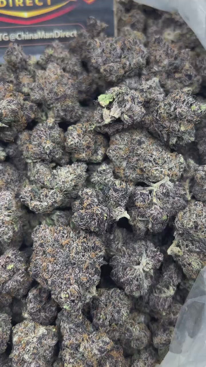 #N-CM1341 - Bubble Gum Pop (Hybrid)