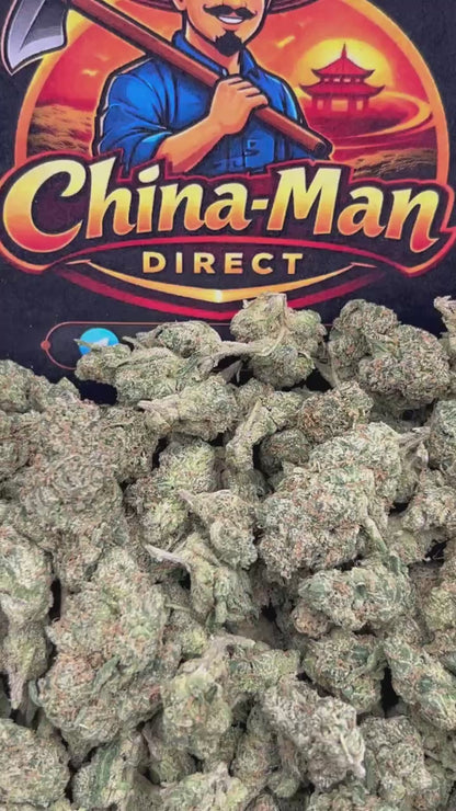 #B-EA019 - Cherry Sizzle (Hybrid)