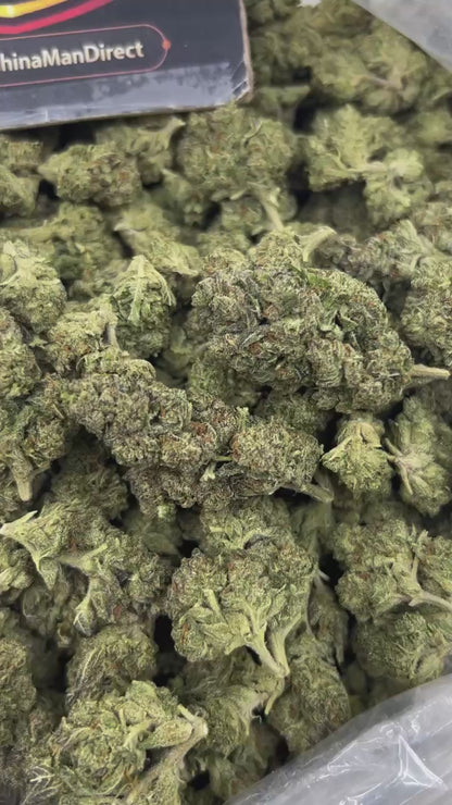 #N-EB293 - Lemon Gas (Hybrid)