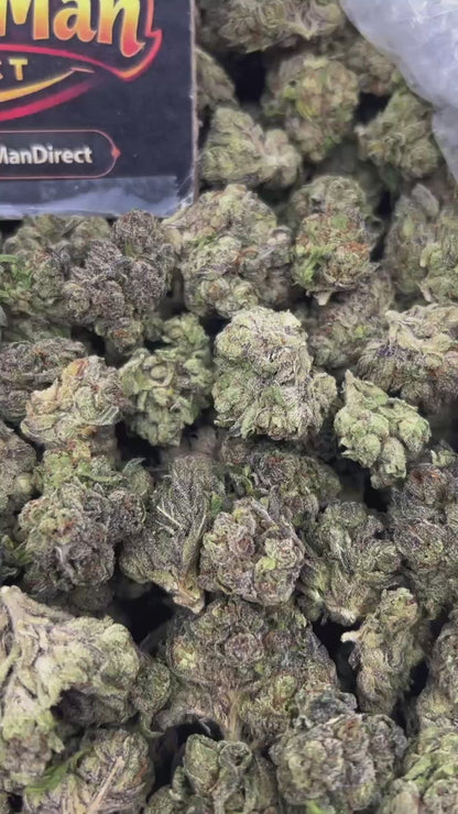 #N-EB308 - Grape Gumbo (Hybrid)