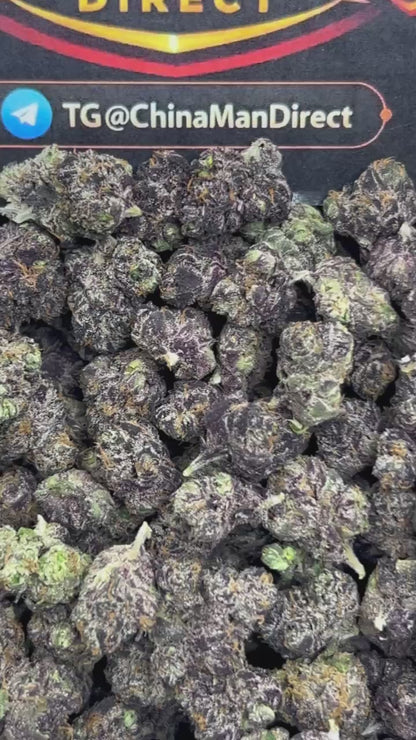#N-ECS344 - Lemon Cherry Gelato SM (Hybrid)