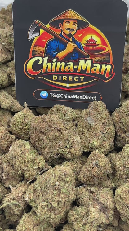 #B-EC010 - Northern Lights (Indica)