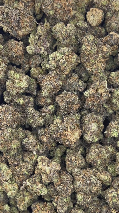 #B-EA004 - Lemonlatti (Hybrid)