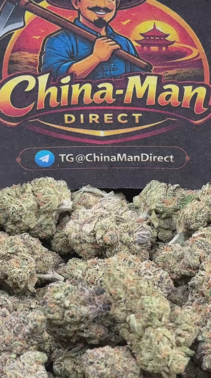 #EA501 - Cherry Cream Pop (Hybrid)