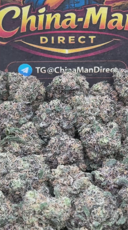 #KAM309 - Sugar Rush SM (Hybrid)