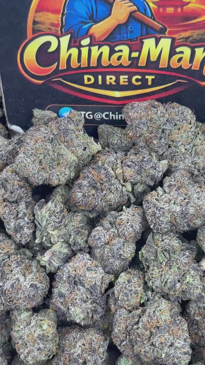 #N-CM1330 - Bubblegum Fritterz (Hybrid)