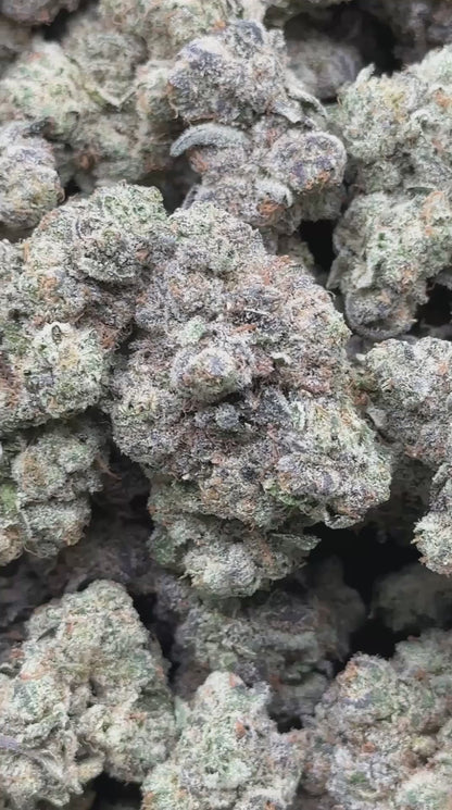 #IN813 - Diesel Storm (Hybrid)