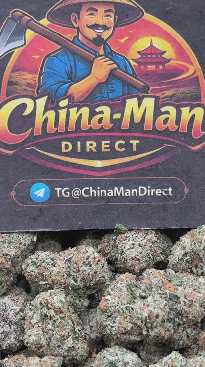 #IN214 - GMO (Indica)