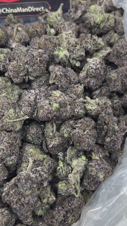 #N-CM1340 - Black Cherry Gelato (Hybrid)