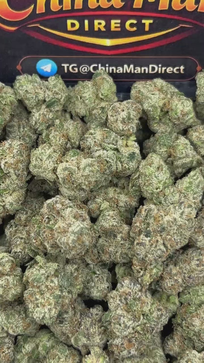 #N-LC103 - Blue Nerdz (Hybrid)
