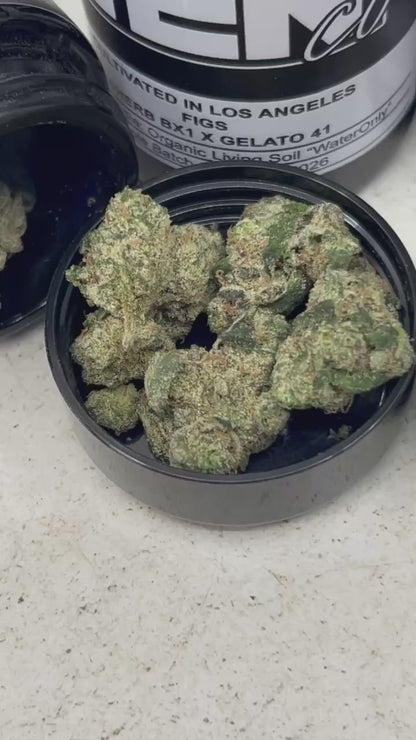 #N-M049 - The TenCo 7g Jar
