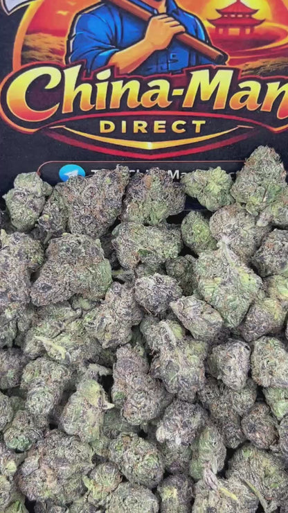 #N-EA773 - Berry Gelato (Hybrid)
