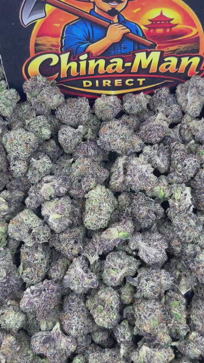 #N-EA845 - Cherry Gelato Bar (Hybrid)