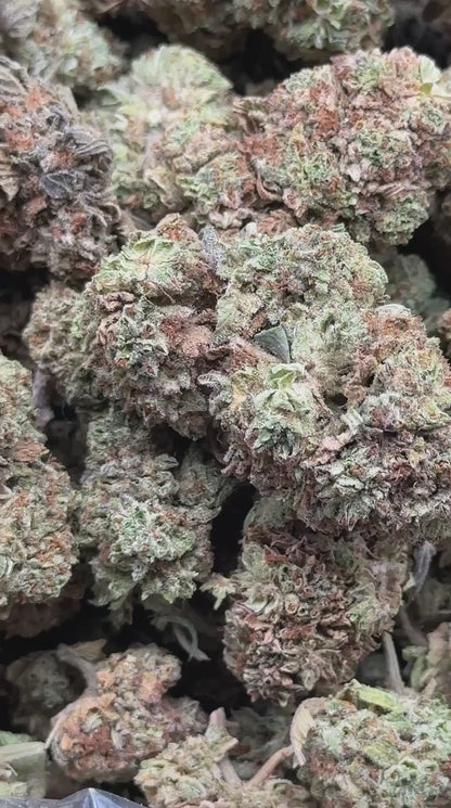 #FK154 - Coconut Cream (Hybrid)