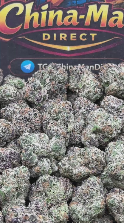 #RM58 - Royal Gelato SM (Hybrid)