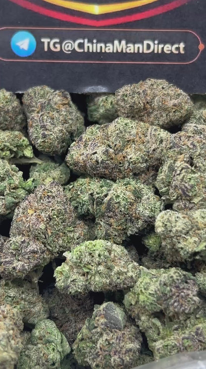 #N-CM1134 - Gelonadez (Indica)