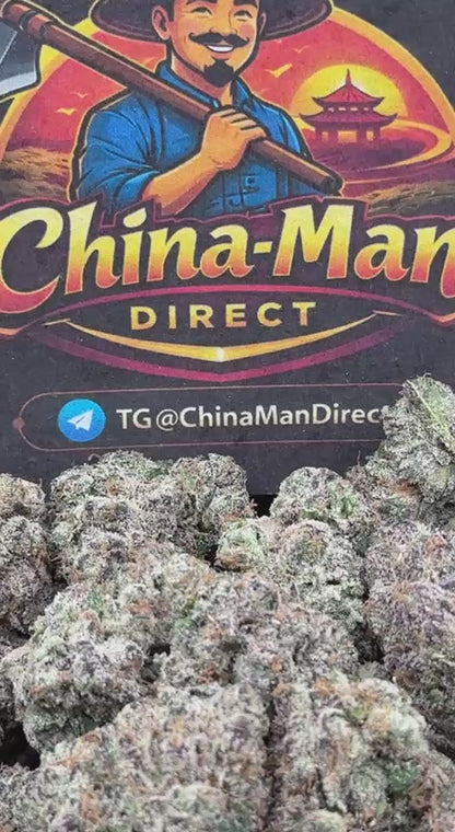 #IN802 - Pineapple Sherbet (Hybrid)