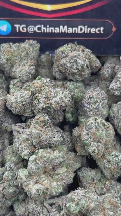 #N-EX090 - Marshmallow Cake (Hybrid)