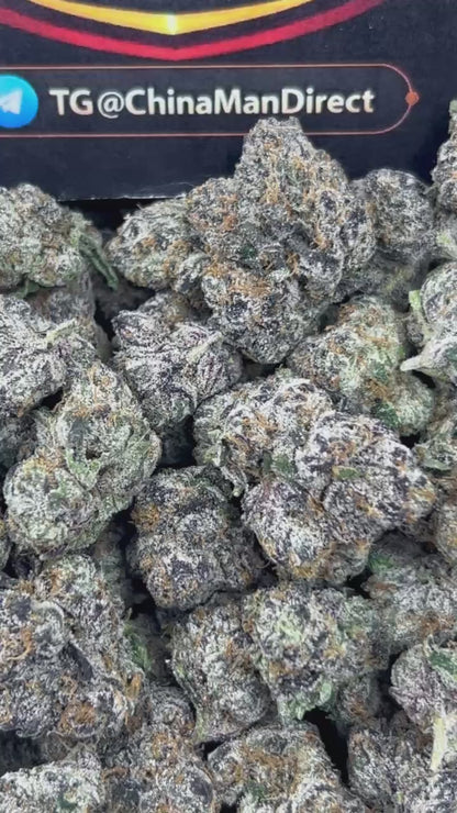 #N-EX073 - Papaya Punch (Hybrid)