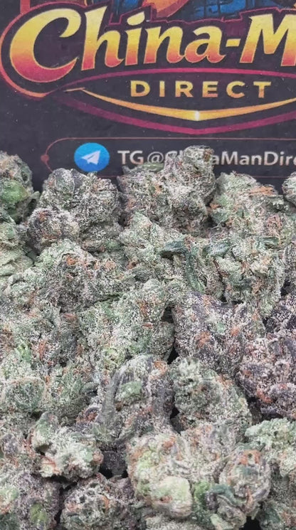 #SS512 - Mango Dream SM (Hybrid)