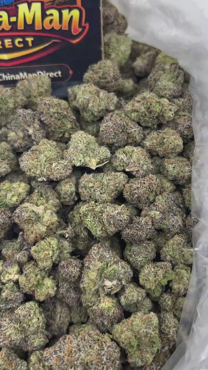 #N-CM1365 - Sweet Tooth (Hybrid)