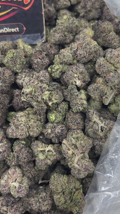 #N-CM1364 - Strawberry Bubblegum (Hybrid)