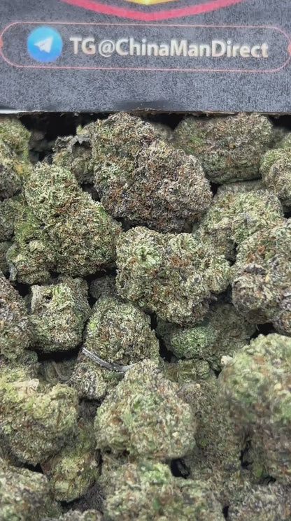 #N-CM1131 - Gasberriez (Hybrid)