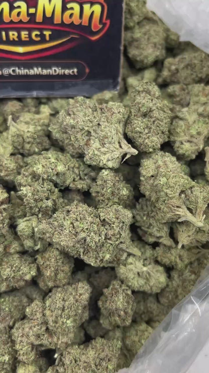 #N-EB304 - Zkittlez Splash (Hybrid)