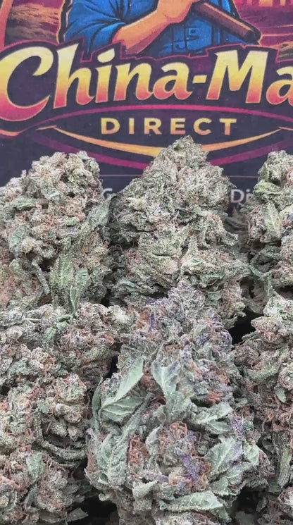 #FK048 - Forest Velvet (Hybrid)