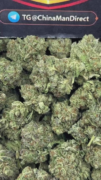 #N-EB248 - Berry Punch (Indica)