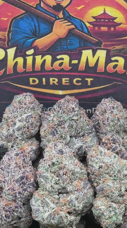 #EA385 - Citrus Monarch (Hybrid)