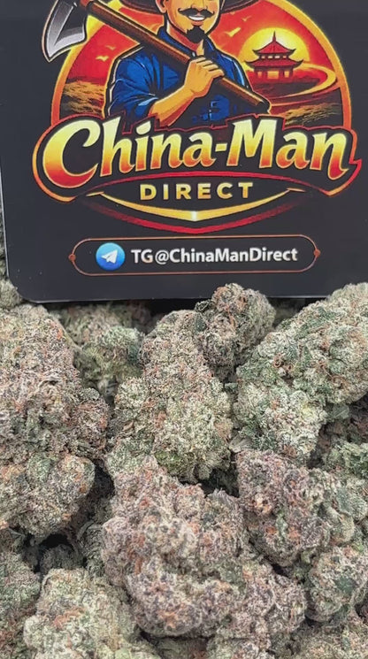 #B-LC039 - GSC (Hybrid)