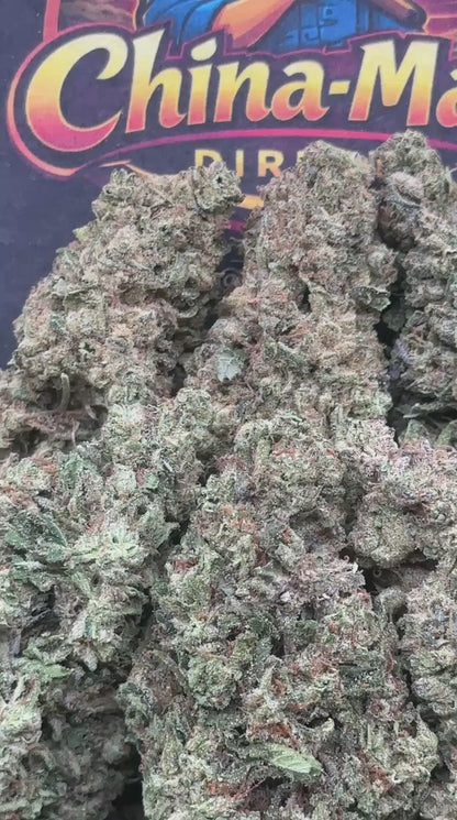 #FK035 - Tropical Pine Burst (Hybrid)