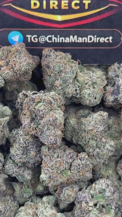 #N-CH343 - Sharklatto Runtz (Indica)