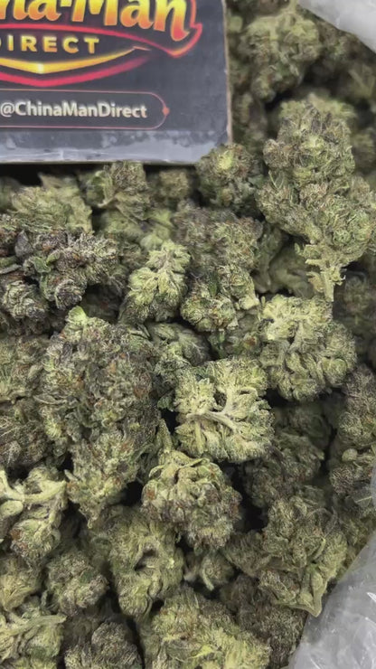 #N-EB292 - Grape Crush (Hybrid)