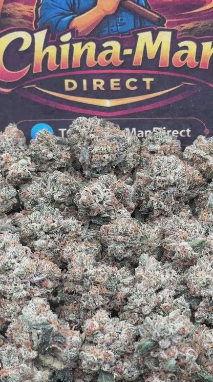 #KAM313 - Berry Glow SM (Hybrid)