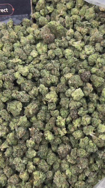 #N-ECS423 - Pineapple Crush SM (Hybrid)