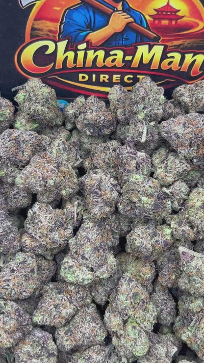 #N-CH361 - Frozen Yumberry (Hybrid)
