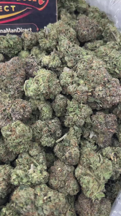 #N-EA861 - Tropical Gelato (Hybrid)