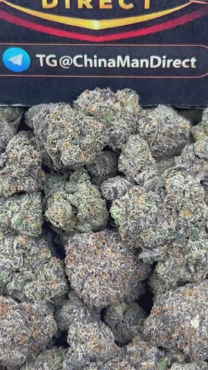 #N-CM1174 - Berry Frost (Hybrid)