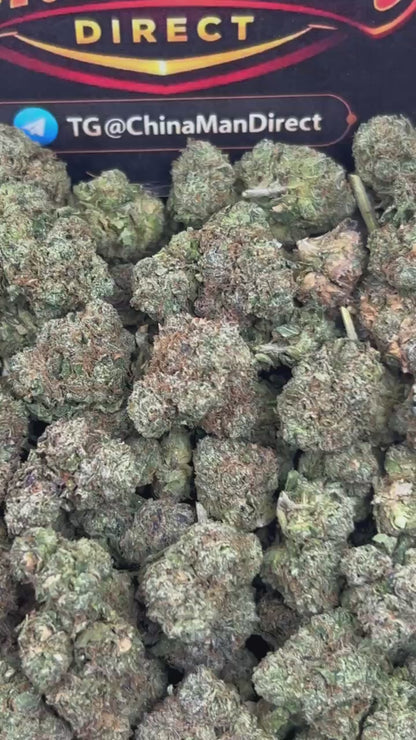 #N-EA812 - Grape Ape (Hybrid)