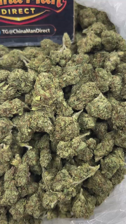 #N-EC093 - Sour Diesel (Hybrid)